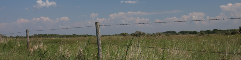 nature02