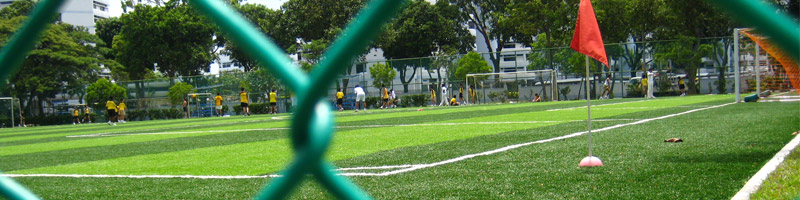 soccer_field